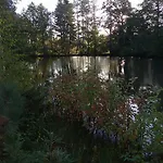 Pod Lesem Bohutín