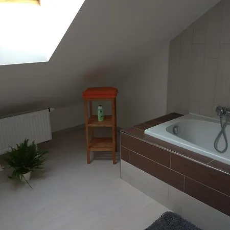 Lejlighed Pod Lesem Bohutín