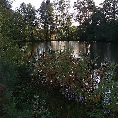 Pod Lesem Bohutín