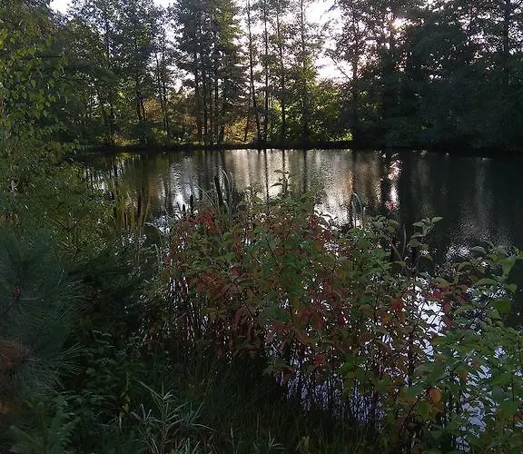 Pod Lesem Bohutín