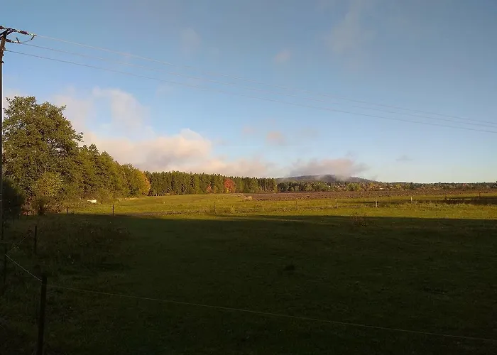 Pod Lesem Lägenhet