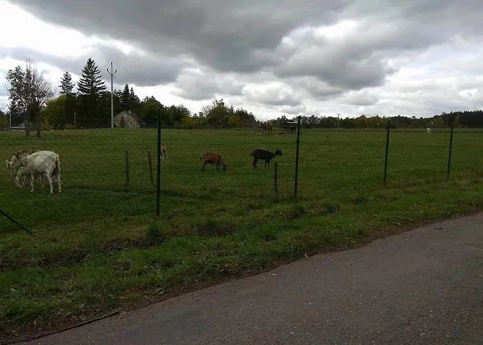 Lägenhet Pod Lesem *